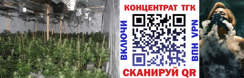 как найти   Оса  omg зеркало  ТГК концентрат 