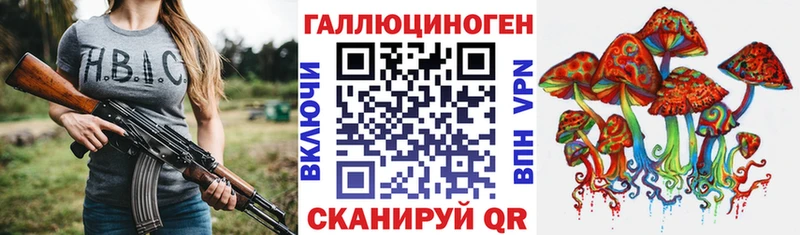 ссылка на мегу как зайти  Оса  Галлюциногенные грибы Psilocybe 