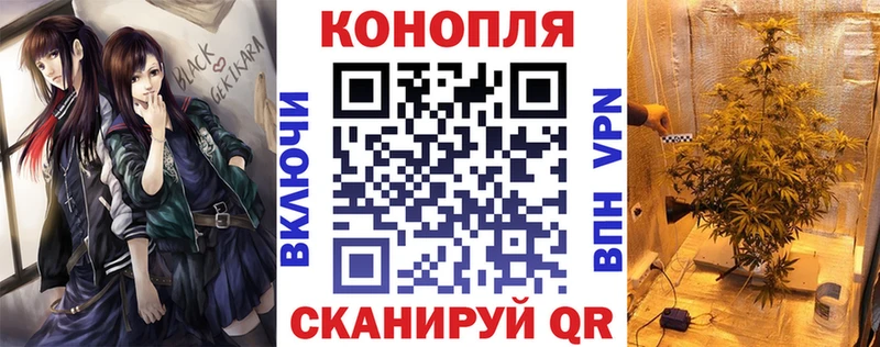 купить   Оса  Каннабис конопля 